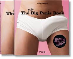 The Little Big Penis Book 