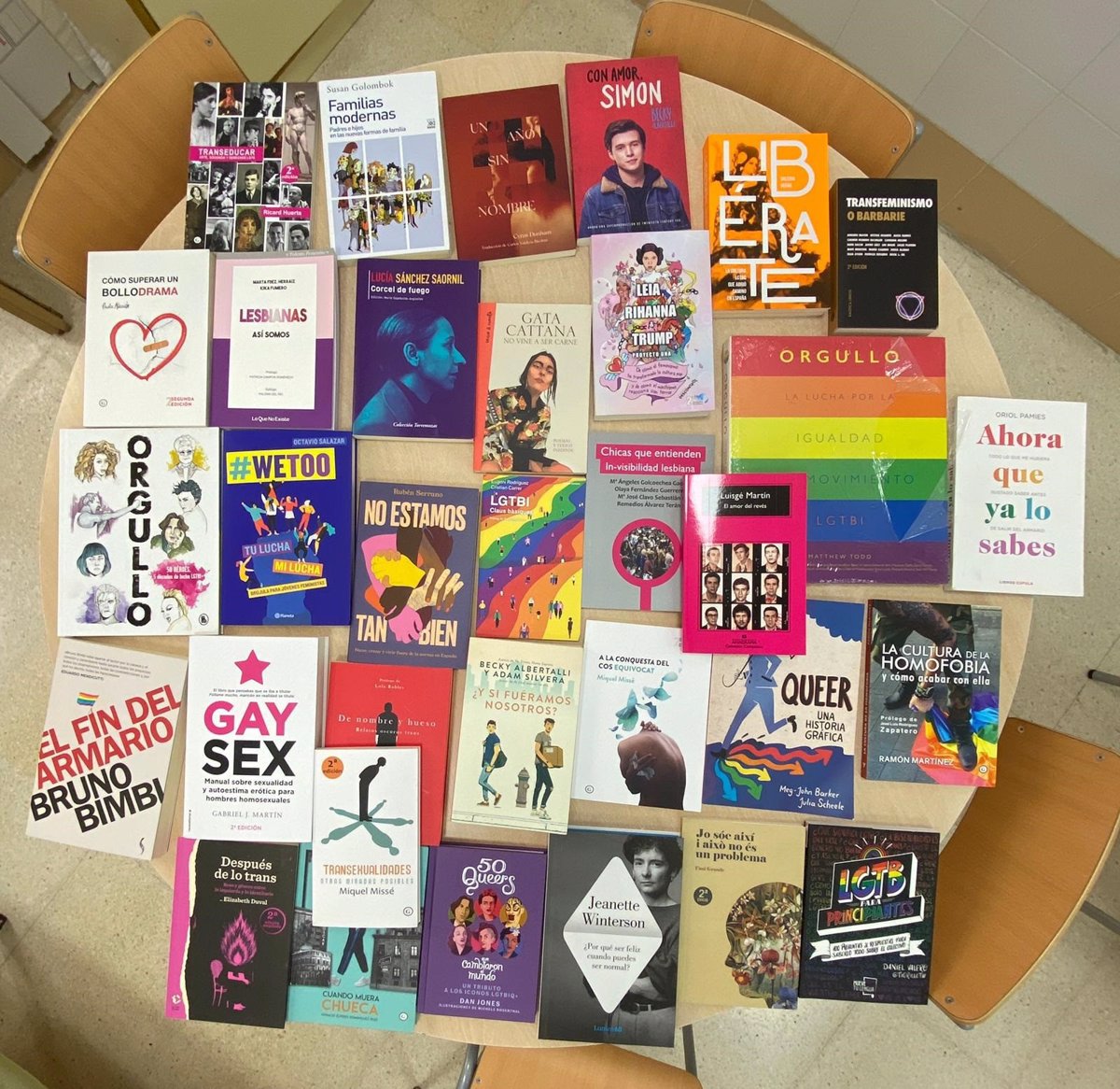 Una jueza obliga al Ayuntamiento de Castellón a retirar libros contra la homofobia de los institutos