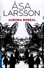 Aurora boreal - BOLSILLO