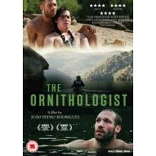 The Ornithlogist