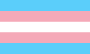 Bandera trans*