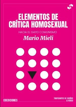Elementos de crítica homosexual