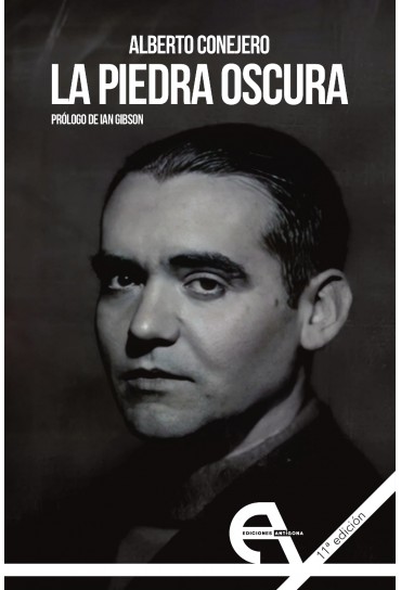 La piedra oscura