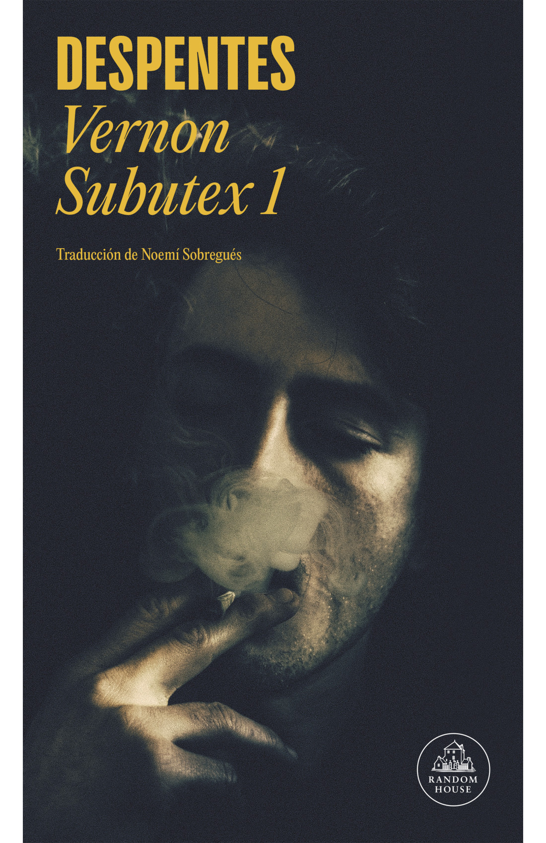 Vernon Subutex 1
